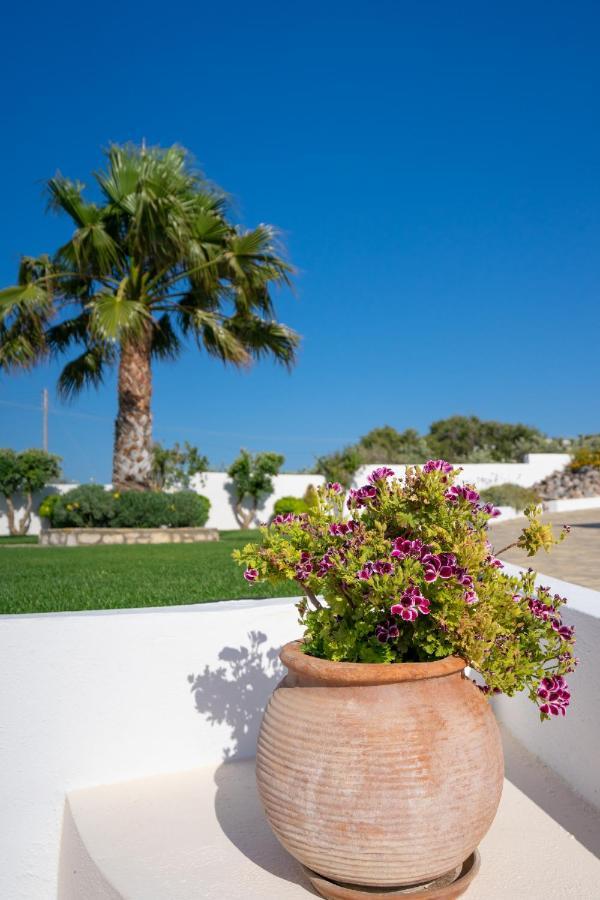 Georgia'S Apartments Kouremenos Beach Anevato Exterior foto
